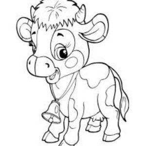 Meet your Posher, Josephine